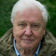 David Attenborough Bika csillagjegy Artemisz Asztrológia Debrecen