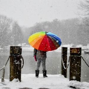 Kozmikus évkör Vízöntő hava Artemisz Asztrológia Debrecen Kozmikus évkör Vízöntő hava Artemisz Asztrológia Debrecen