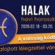 Halak hava 2026 Artemisz Asztrológia Debrecen